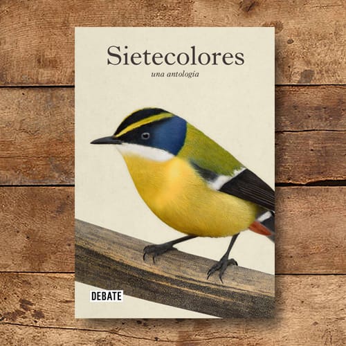 SIETECOLORES: UNA ANTOLOGIA	DARWIN, CHARLES, GAY, NERUDA1