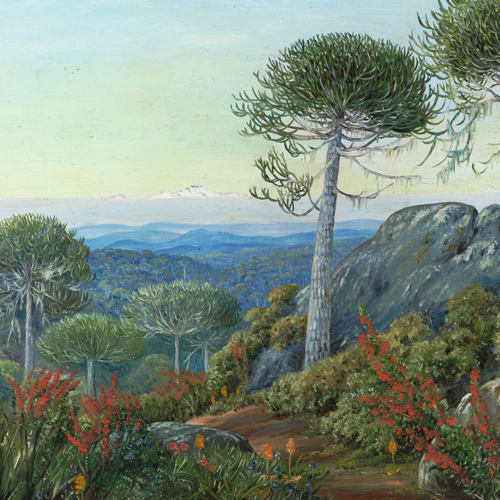 TRAVESÍA BOTÁNICA POR CHILE2