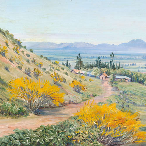 TRAVESÍA BOTÁNICA POR CHILE3