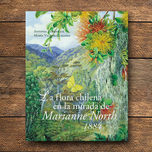 FLORA CHILENA EN LA MIRADA DE MARIANNE NORTH, 18841