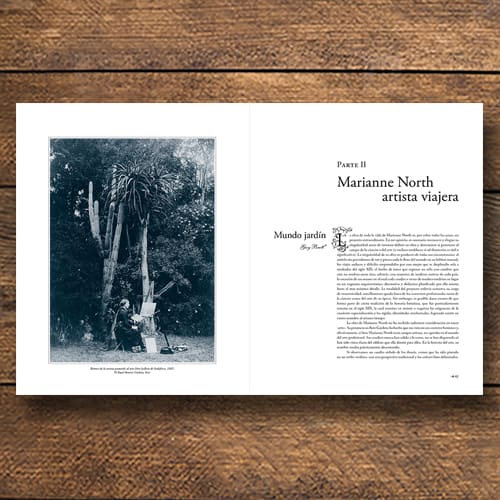 FLORA CHILENA EN LA MIRADA DE MARIANNE NORTH, 18842