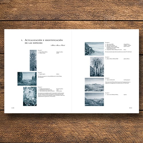 FLORA CHILENA EN LA MIRADA DE MARIANNE NORTH, 18844