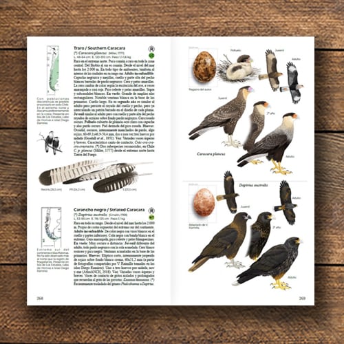 AVES DE CHILE. GUÍA DE CAMPO2