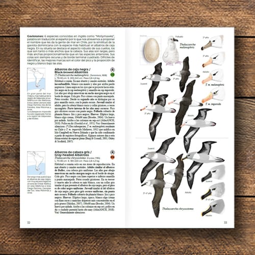 AVES DE CHILE. GUÍA DE CAMPO3