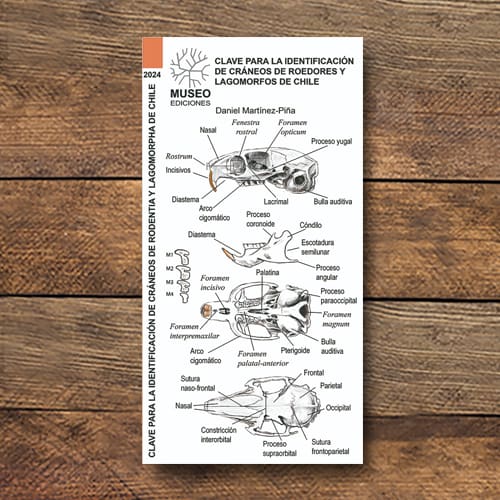 CARTILLA IDENTIFICACIÓN DE CRÁNEOS DE ROEDORES Y LAGOMORFOS1