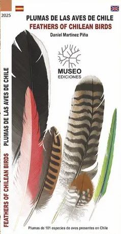 PLUMAS DE LAS AVES DE CHILE. GUIA DE BOLSILLO1