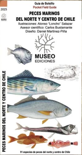 PECES MARINOS DEL NORTE Y CENTRO DE CHILE. GUIA DE BOLSILLO1