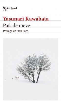 PAÍS DE NIEVE1