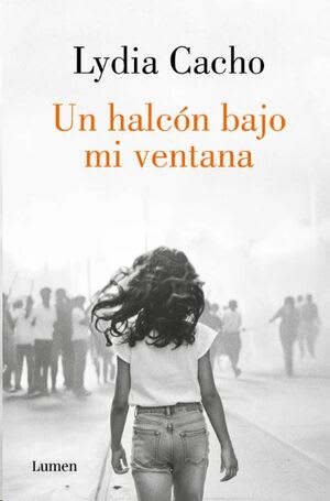 UN HALCÓN BAJO MI VENTANA1