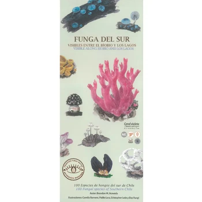 FUNGA DEL SUR. GUIA DE BOLSILLO1