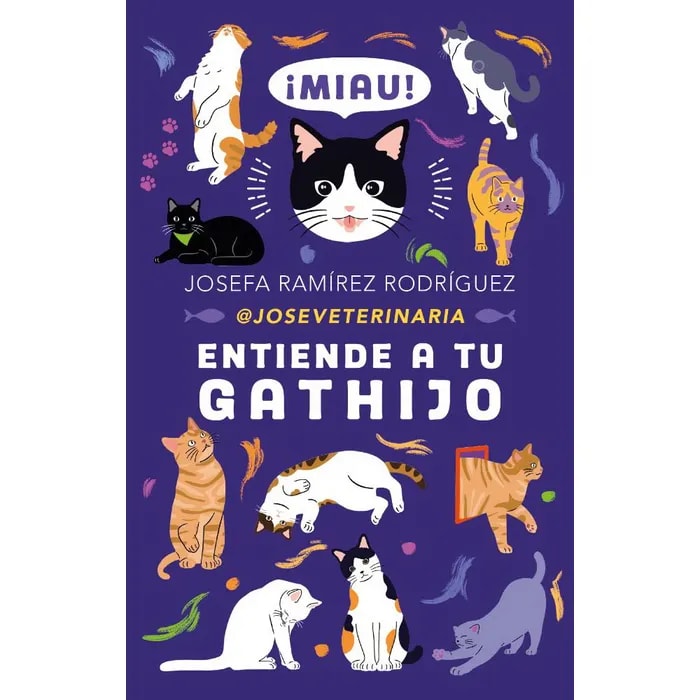 ENTIENDE A TU GATHIJO1