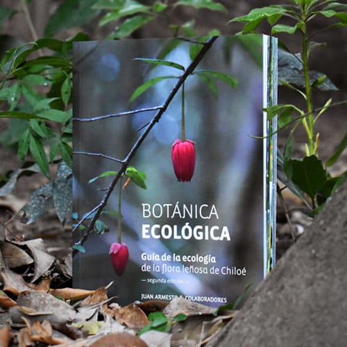 BOTÁNICA ECOLÓGICA, GUÍA DE LA ECOLOGÍA DE LA FLORA LEÑOSA DE CHILOÉ1