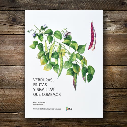 Verduras, frutas y semillas que comemos1
