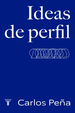 IDEAS DE PERFIL1