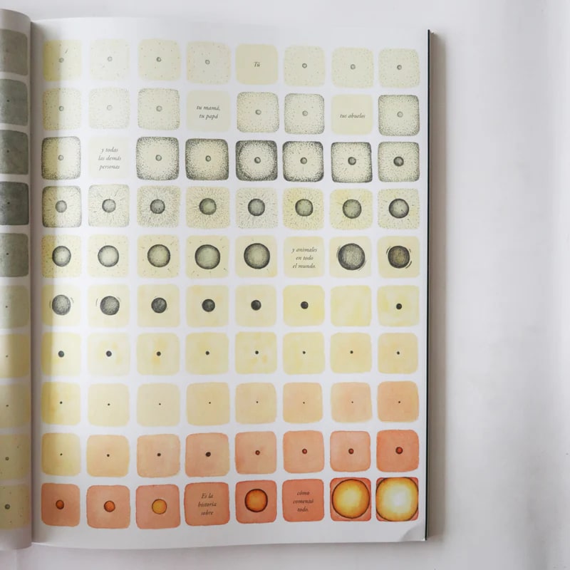 VIDA: UNA LARGA HISTORIA2