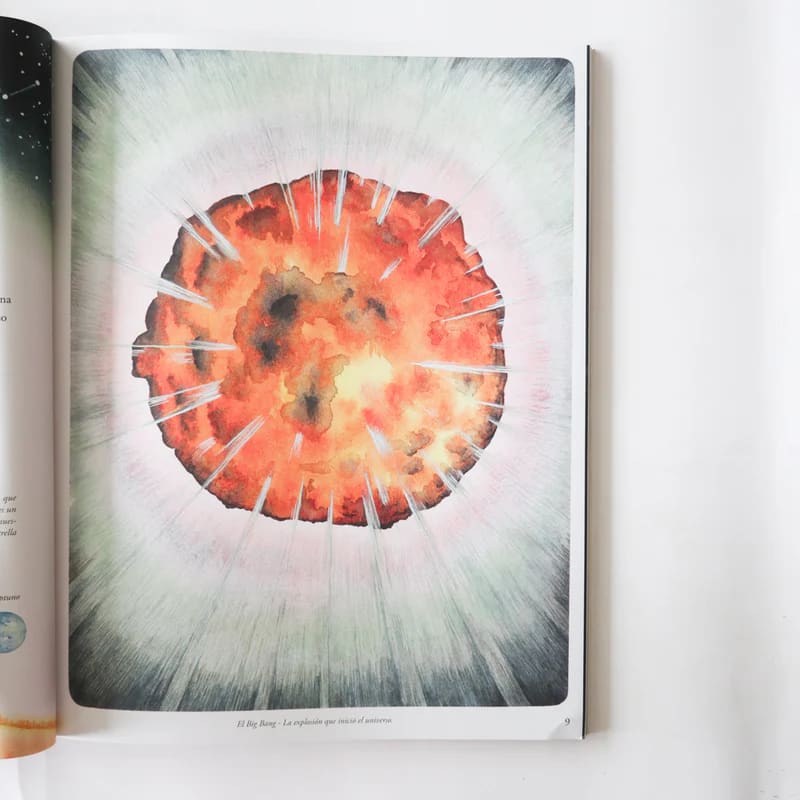 VIDA: UNA LARGA HISTORIA3