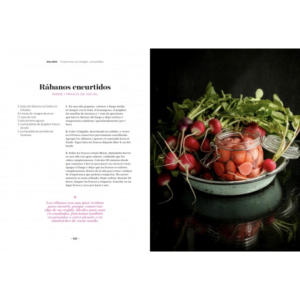 CONSERVAS Y FERMENTOS NATURALES3