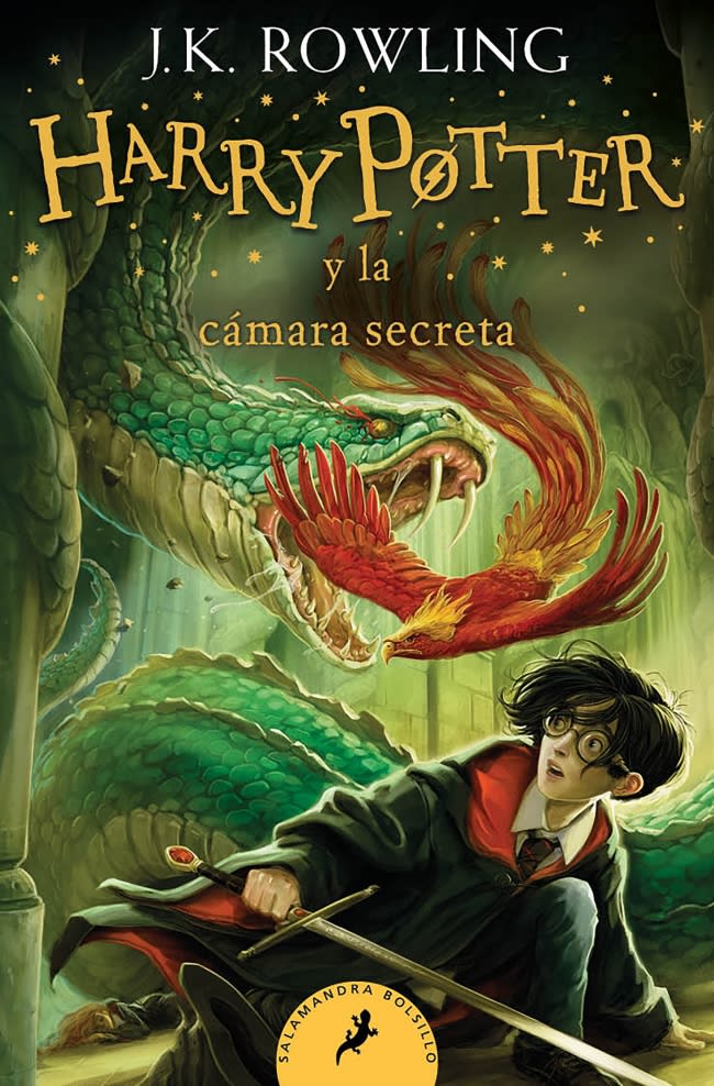 HARRY POTTER Y LA CÁMARA SECRETA 1