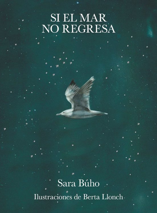 SI EL MAR NO REGRESA4