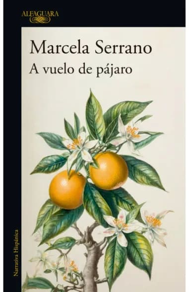 A VUELO DE PÁJARO1