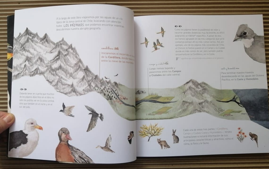 GEOGRAFÍA DE PÁJAROS: CHILE CENTRAL3