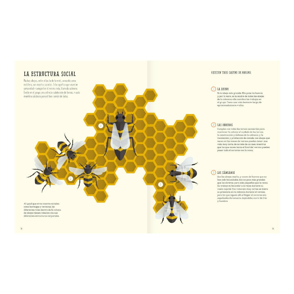 EL MUNDO DE LAS ABEJAS 2