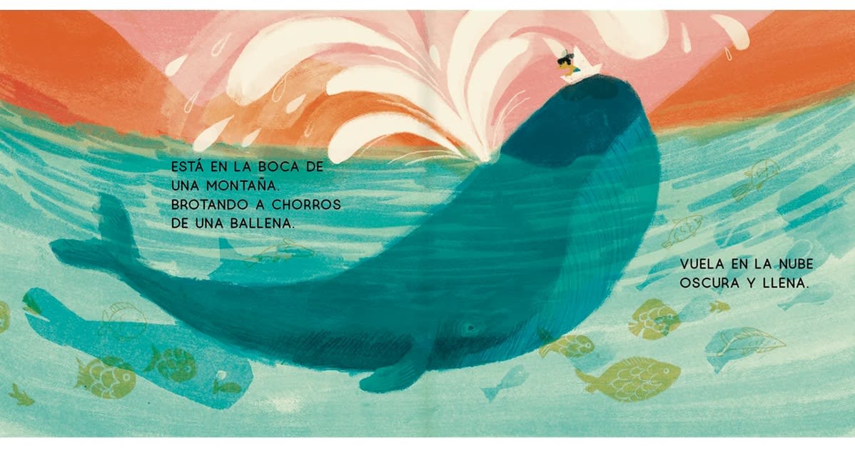 AGUA2