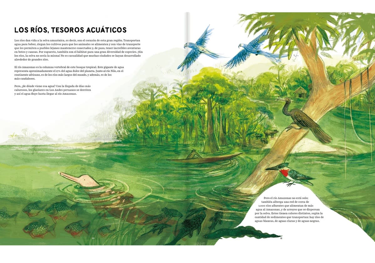 AMAZONAS3