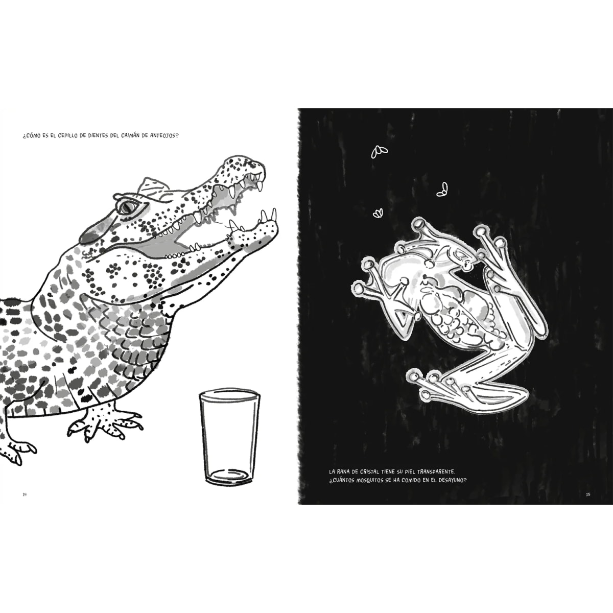 ANFIBIOS Y REPTILES, BITÁCORA PARA IMAGINAR3