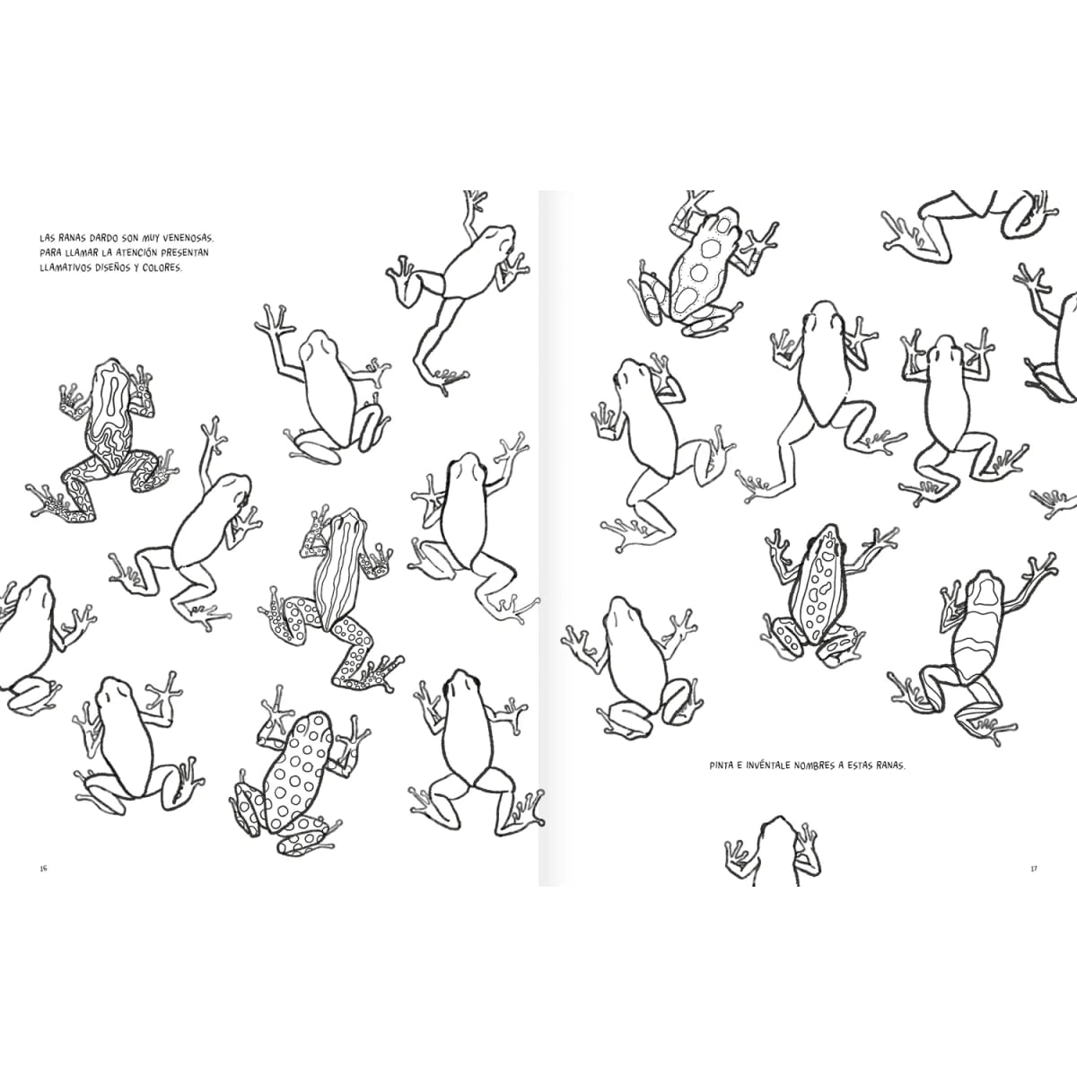 ANFIBIOS Y REPTILES, BITÁCORA PARA IMAGINAR2
