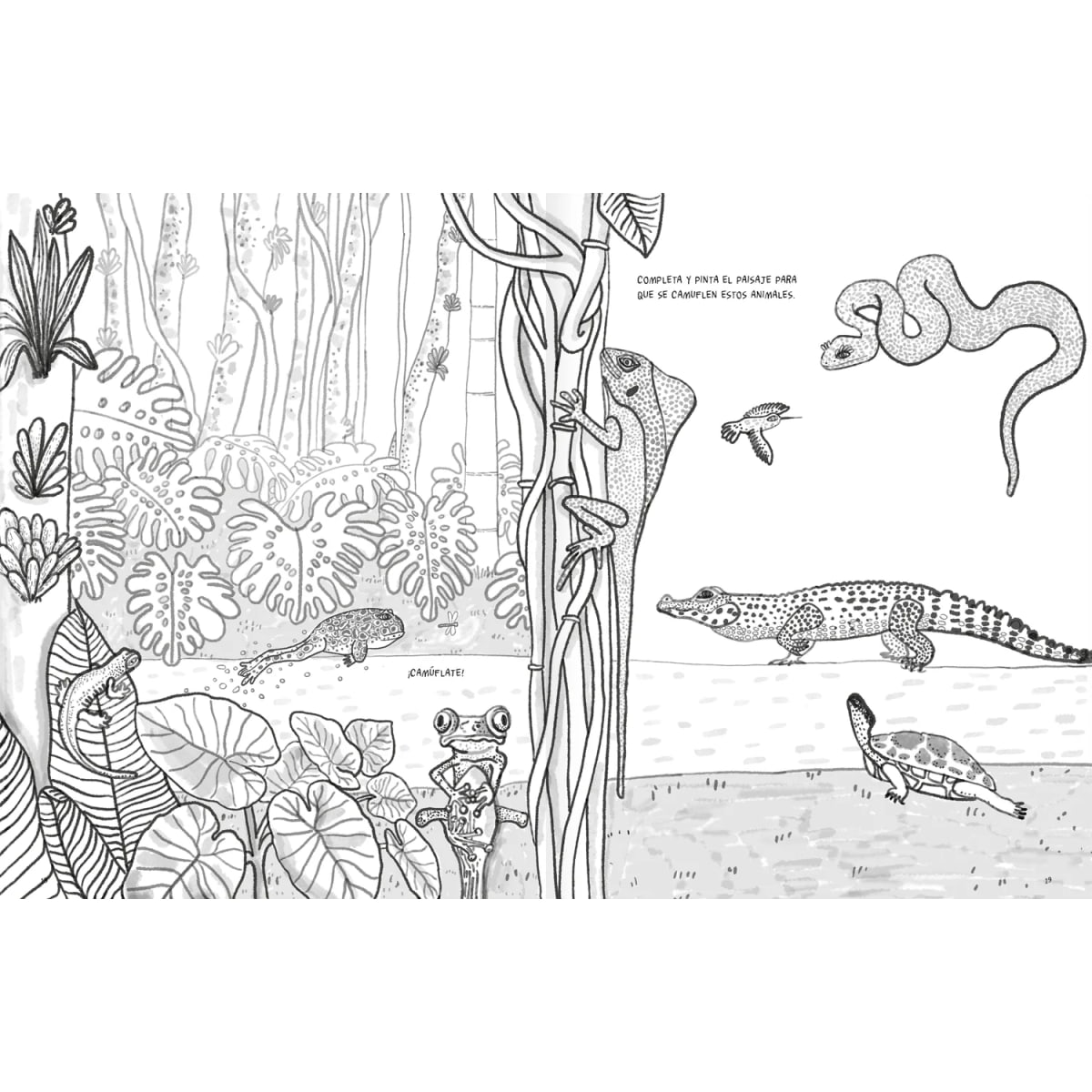 ANFIBIOS Y REPTILES, BITÁCORA PARA IMAGINAR1