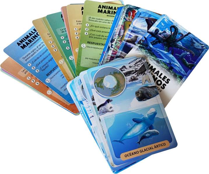 DESCUBRO Y JUEGO - ANIMALES MARINOS3