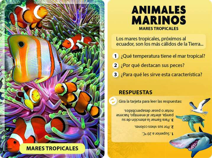 DESCUBRO Y JUEGO - ANIMALES MARINOS4