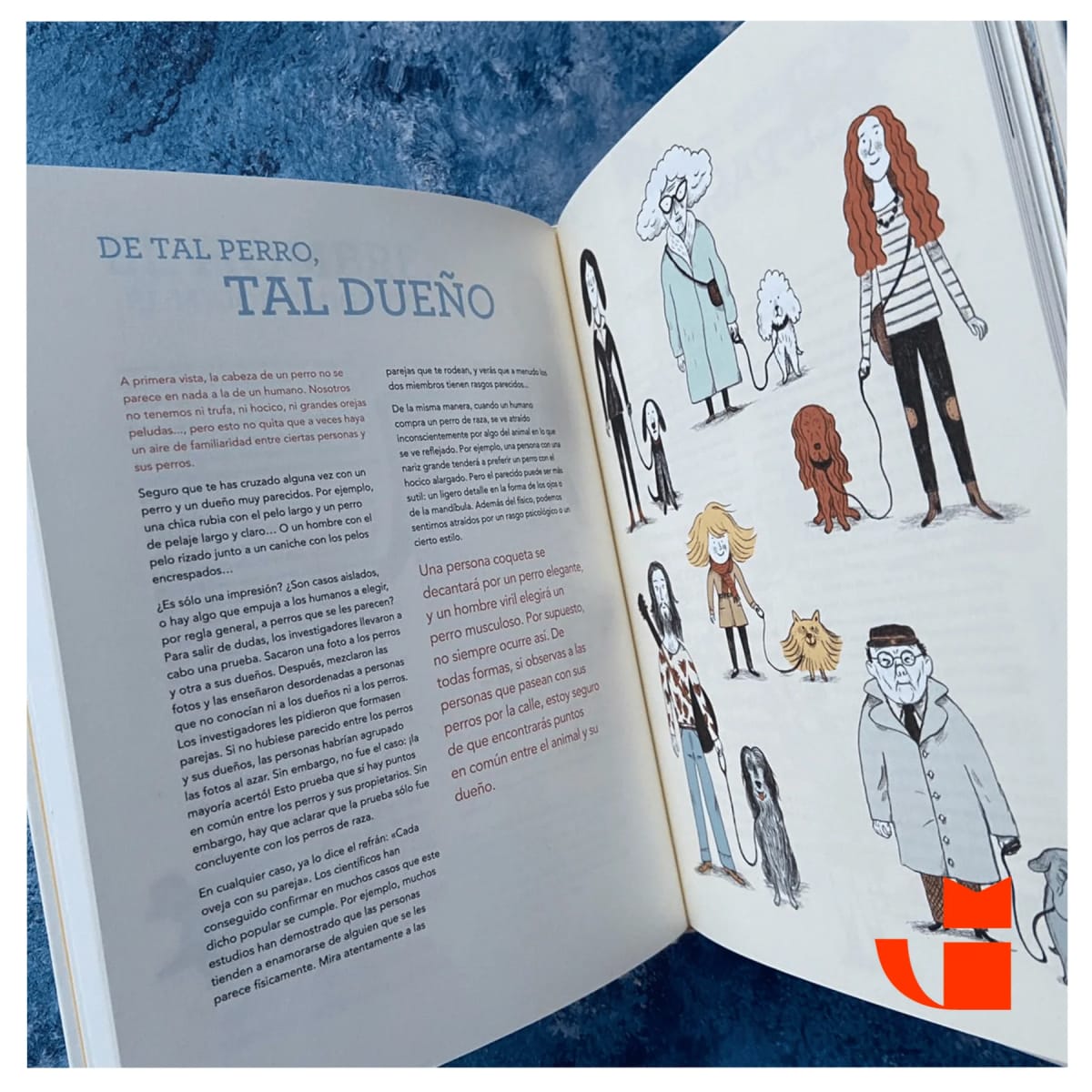 PERROS Y GATOS BAJO LA LUPA4