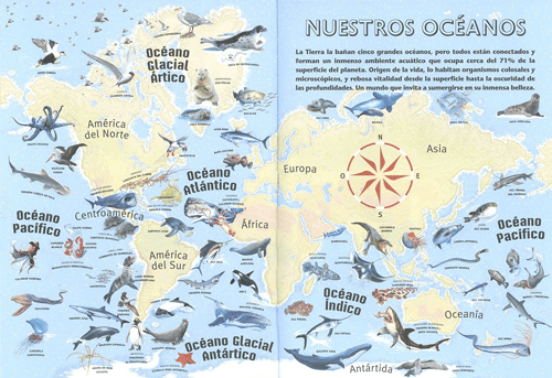 ATLAS DE LOS OCÉANOS. DESCUBRE EL MUNDO MARINO4