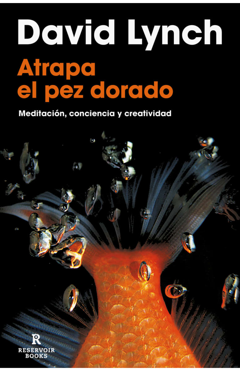 ATRAPA EL PEZ DORADO1
