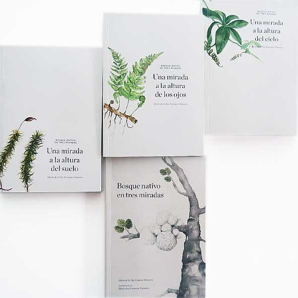 BOSQUE NATIVO EN TRES MIRADAS2