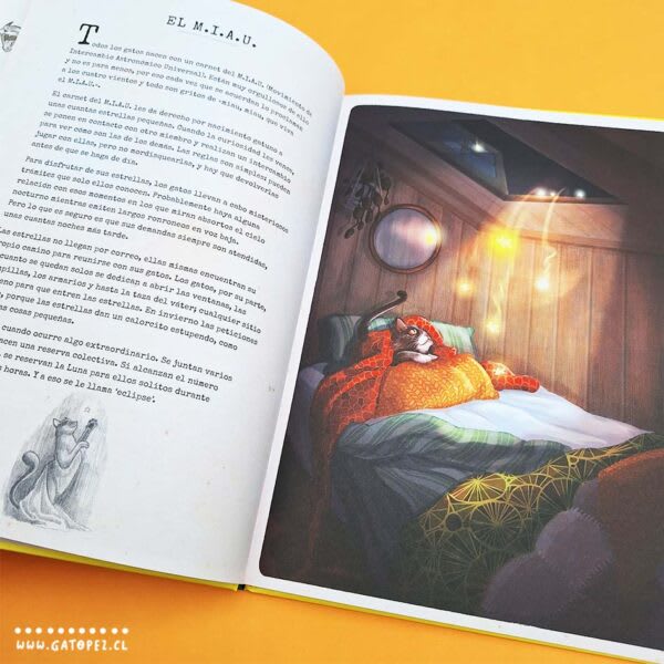 BREVE GATOPEDIA ILUSTRADA2