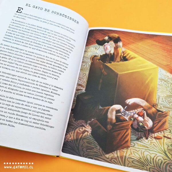 BREVE GATOPEDIA ILUSTRADA3