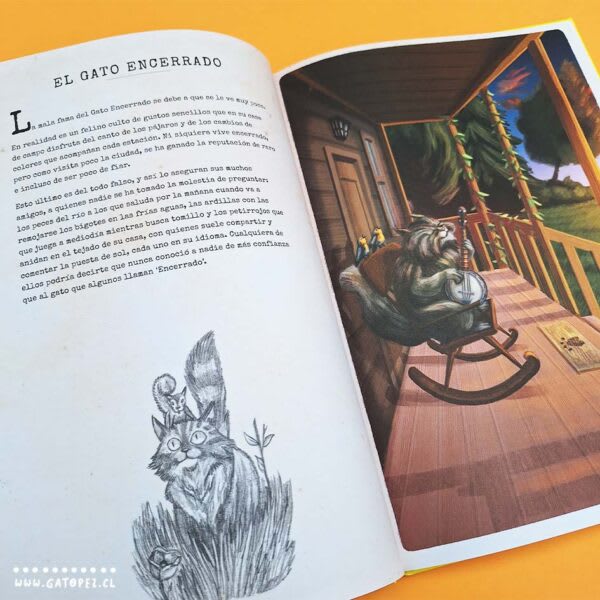 BREVE GATOPEDIA ILUSTRADA4