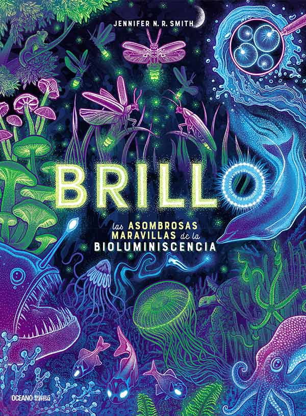 BRILLO1