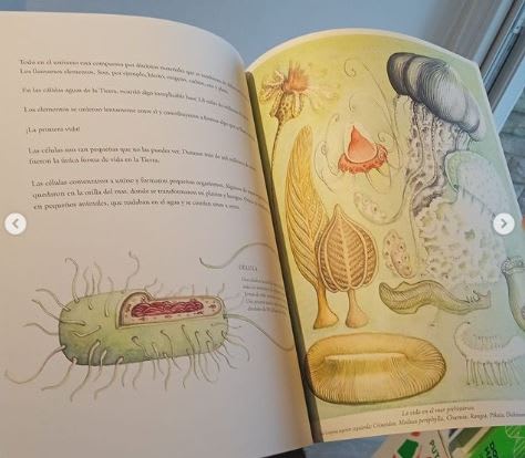 VIDA: UNA LARGA HISTORIA4