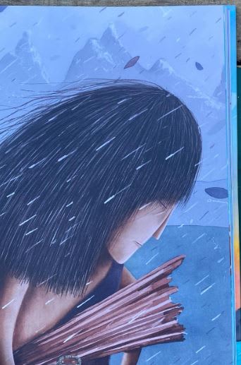 EMIGRACIÓN DE PÁJAROS4