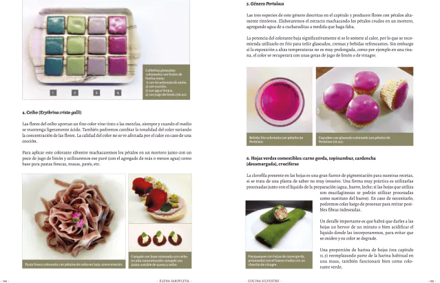COCINA SILVESTRE II2