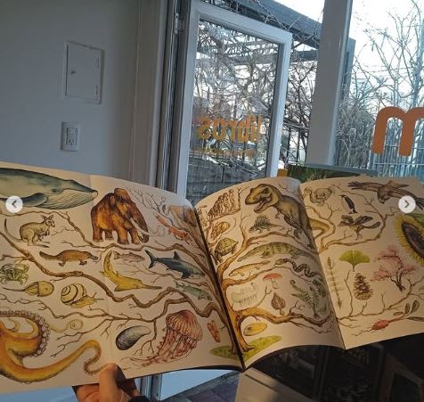 VIDA: UNA LARGA HISTORIA5