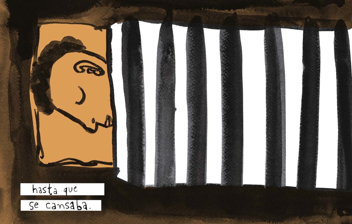 DENTRO DE UNA CEBRA2