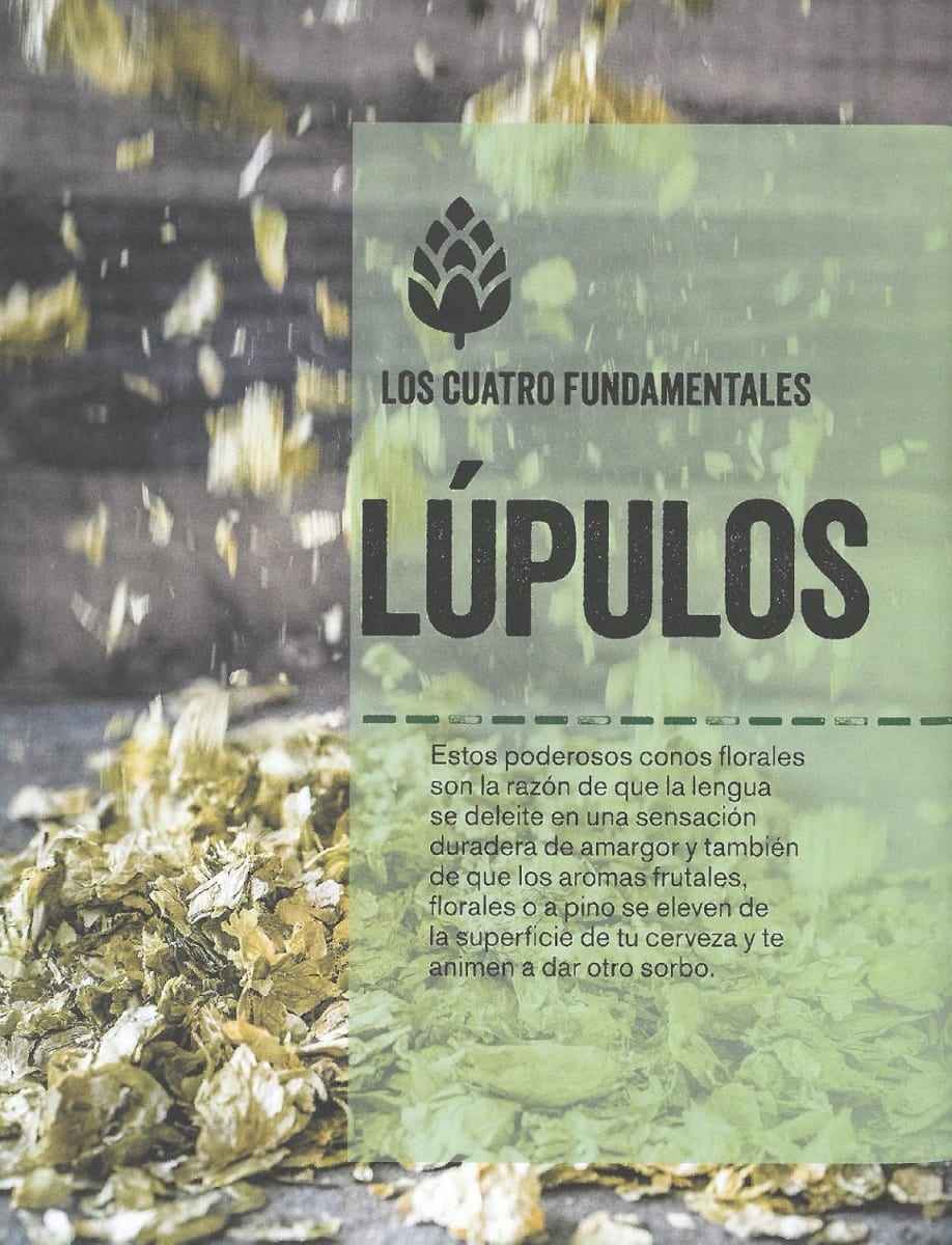 CERVEZA ARTESANA PARA EL PUEBLO4