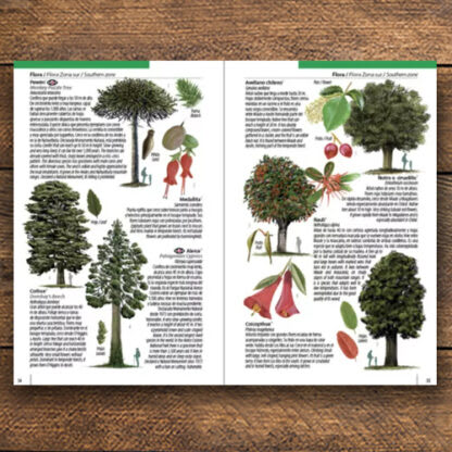 CHILE: UNA GUÍA RÁPIDA - FUNGI, FLORA FAUNA1