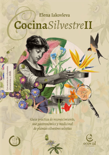 COCINA SILVESTRE II1