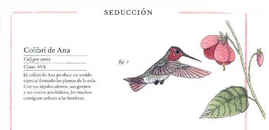 INVENTARIO ILUSTRADO DE AVES2